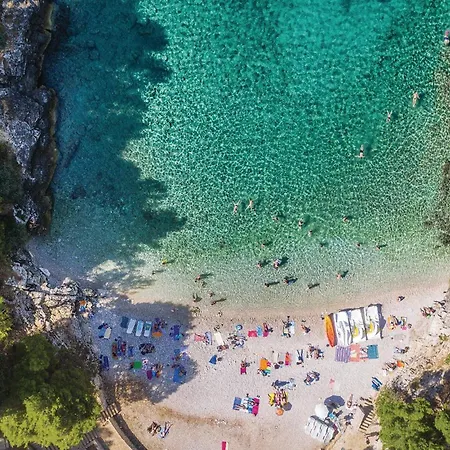 Amazing In With Kitchen *